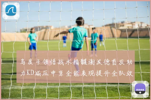 乌度卡领悟战术精髓谢泼德首发助力KD减压申京全能表现提升全队效率