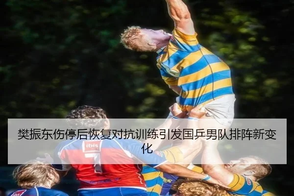 樊振东伤停后恢复对抗训练引发国乒男队排阵新变化
